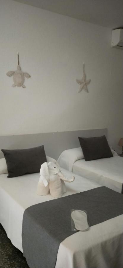 Hostal S'Algaret Fornells  Εξωτερικό φωτογραφία
